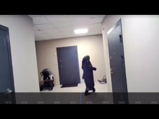 video by overheard kungur