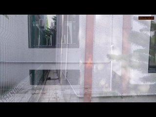 legalporno bella mur young