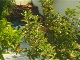 white panty chronicles 8 scene 3