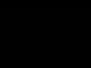 house, porno - 12 2 2026